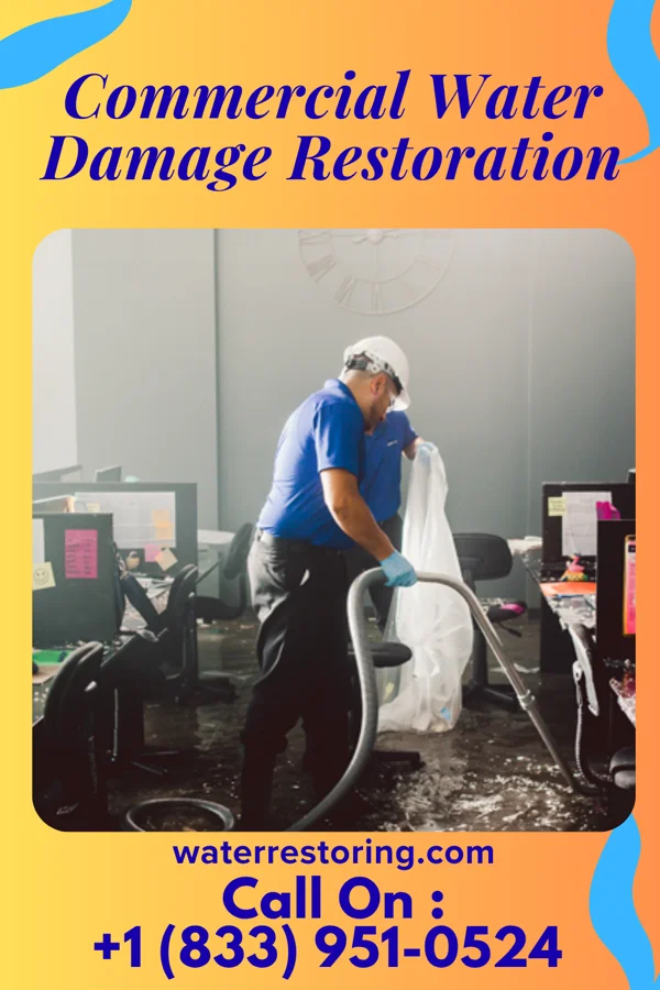 Commercial Water Damage Restoration in Noroton, CT