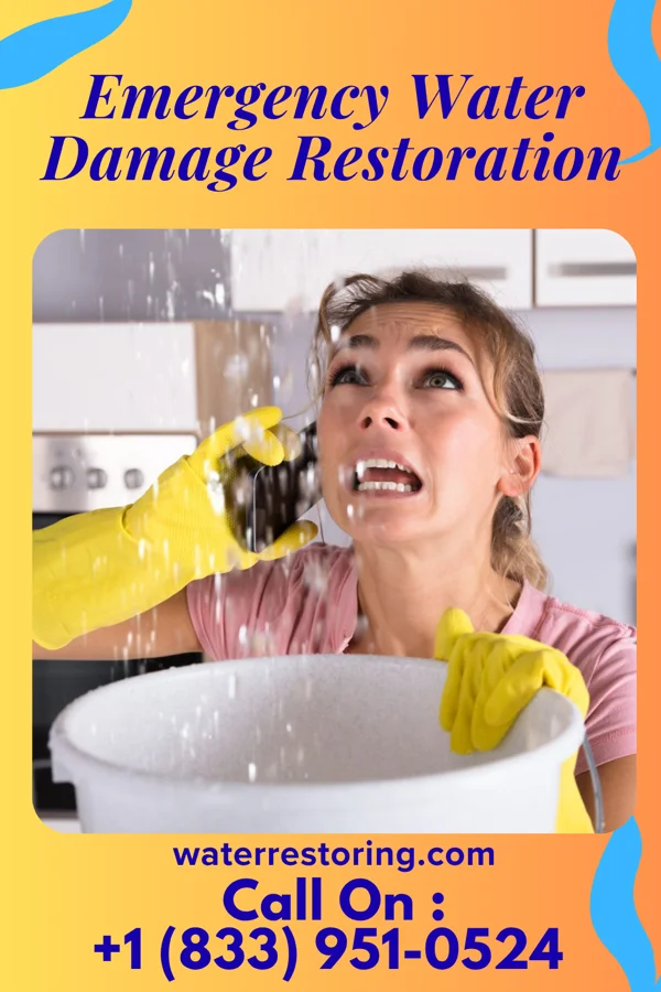 Emergency Water Damage Restoration in Noroton, CT