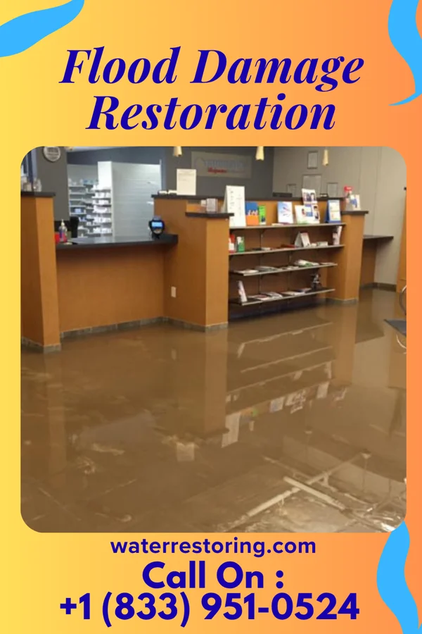 Flood Damage Restoration in Noroton, CT